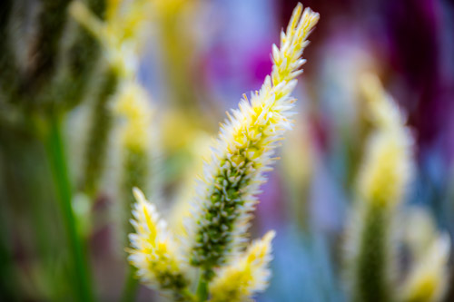 Sleepy Hollow, NY - Oct 2025